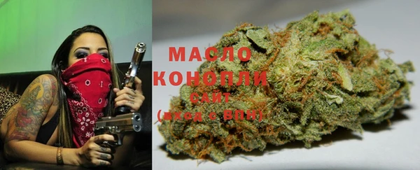 прущие грибы Горно-Алтайск